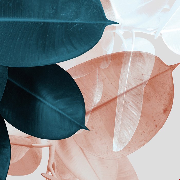 zin-trendstudio zin-trendstudio